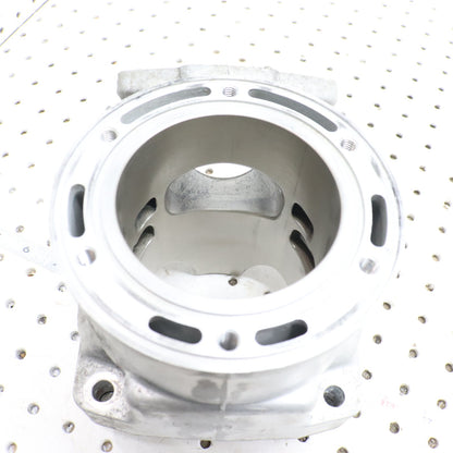 2012 Arctic Cat Proclimb M800 Cylinder Jug 3007-849