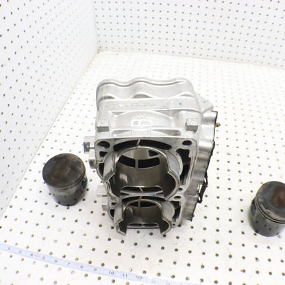 2016 Polaris Rush 800 Cylinder Jug 3022828 GOOD & PISTONS 2206158 2208214