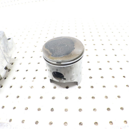 2007 Arctic Cat F6 Cylinder Jug 3006-643 ; 3006-645